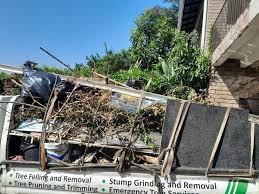 Best Dumpster Rental Services  in Denver, CO