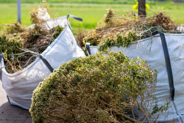 Reliable Denver, CO Junk Removal Services Solutions